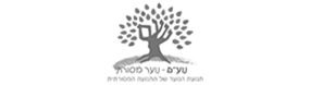 noam